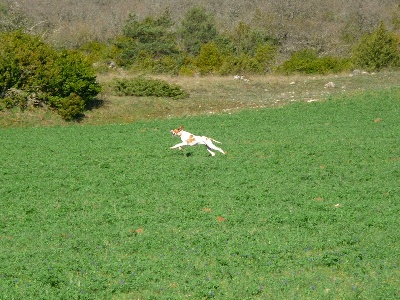 Des Terres Inconnues - calandrier des fields,ete,autonne,hiver 2011