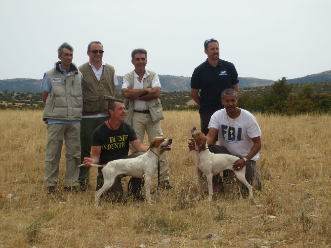 Des Terres Inconnues - Ippo gagne les templiers 